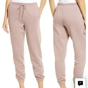 Vince Essential Jogger Pant Women's Small Pink Shell Cotton Polished Loungewear